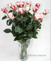 Bouquet of Roses 